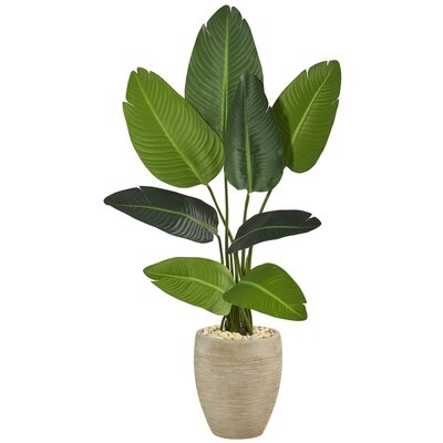 50'' Artificial Banana Leaf Tree in Planter - Image 0