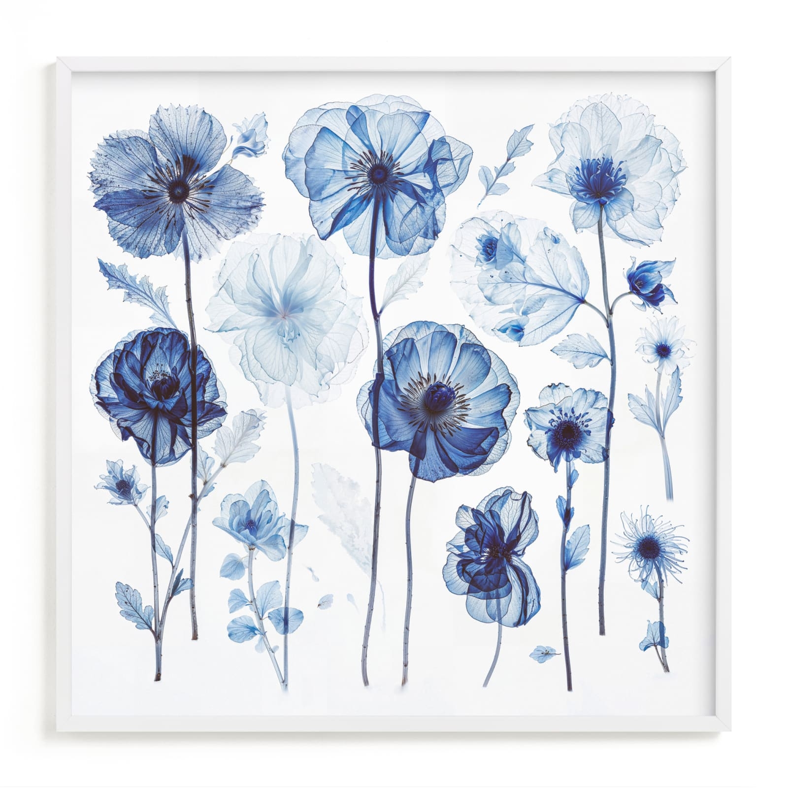 Blue Arrangement Limited Edition Fine Art Print 2 - Image 0