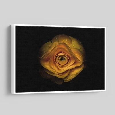 'Backyard Flowers 74 ' - Photographic Print On Wrapped Canvas - Image 0