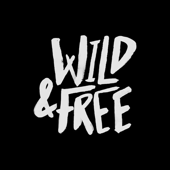 Wild And Free Ii Art Print by Leah Flores - Large - Image 1