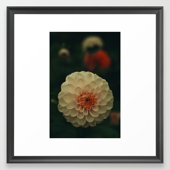 Mystical Botanical Framed Art Print by Olivia Joy St Claire X  Modern Photograp - Scoop Black - Medium(Gallery) 20" x 20"-22x22 - Image 0