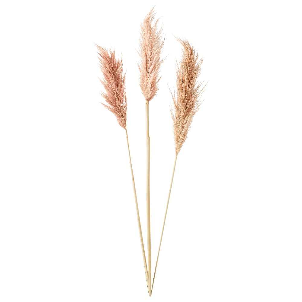 Tall Dried Pampas Bundle, Set of 3, Blush - Image 0
