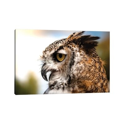 Owl Profile NRV278 - Image 0