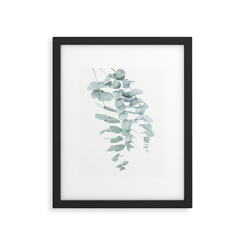 Mint Eucalyptus Ii by Sisi and Seb, Modern Framed Art Print, Black,11" x 14" - Image 0