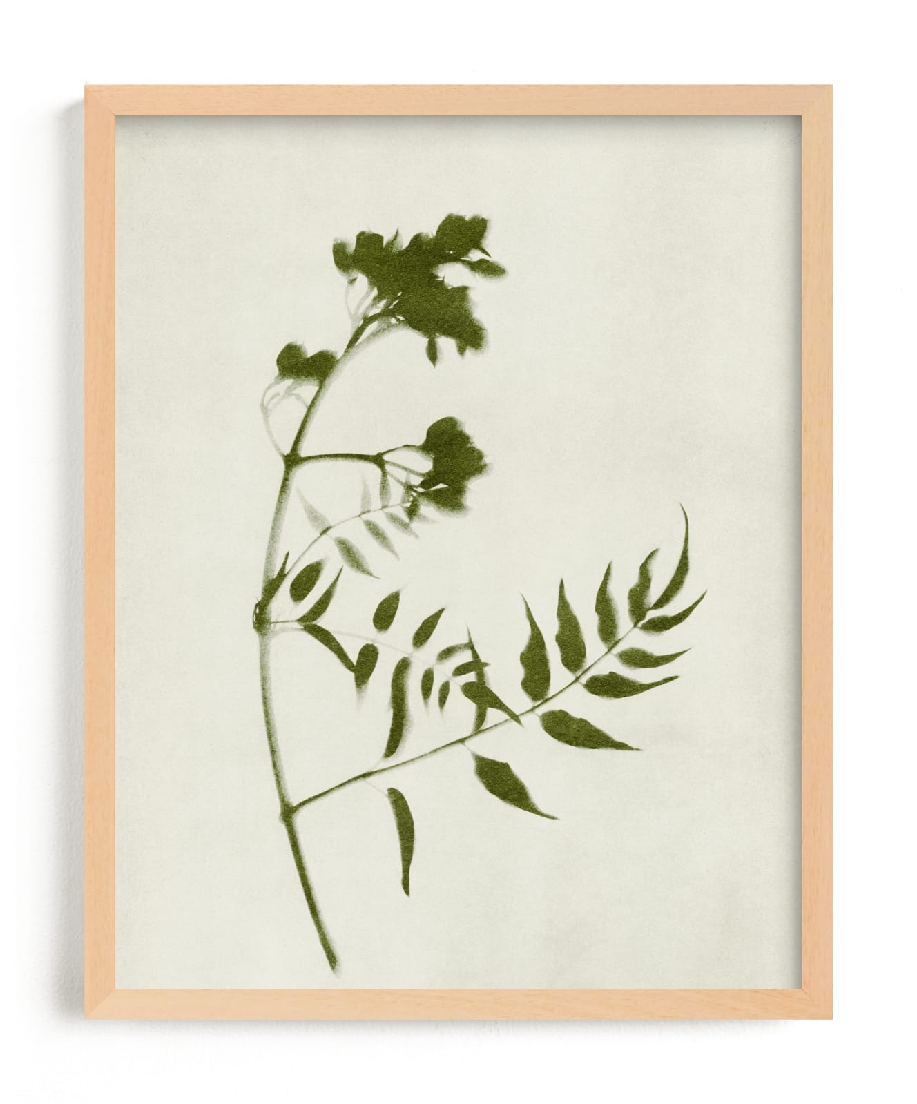 Foraged I Limited Edition Fine Art Print 2 - Image 0