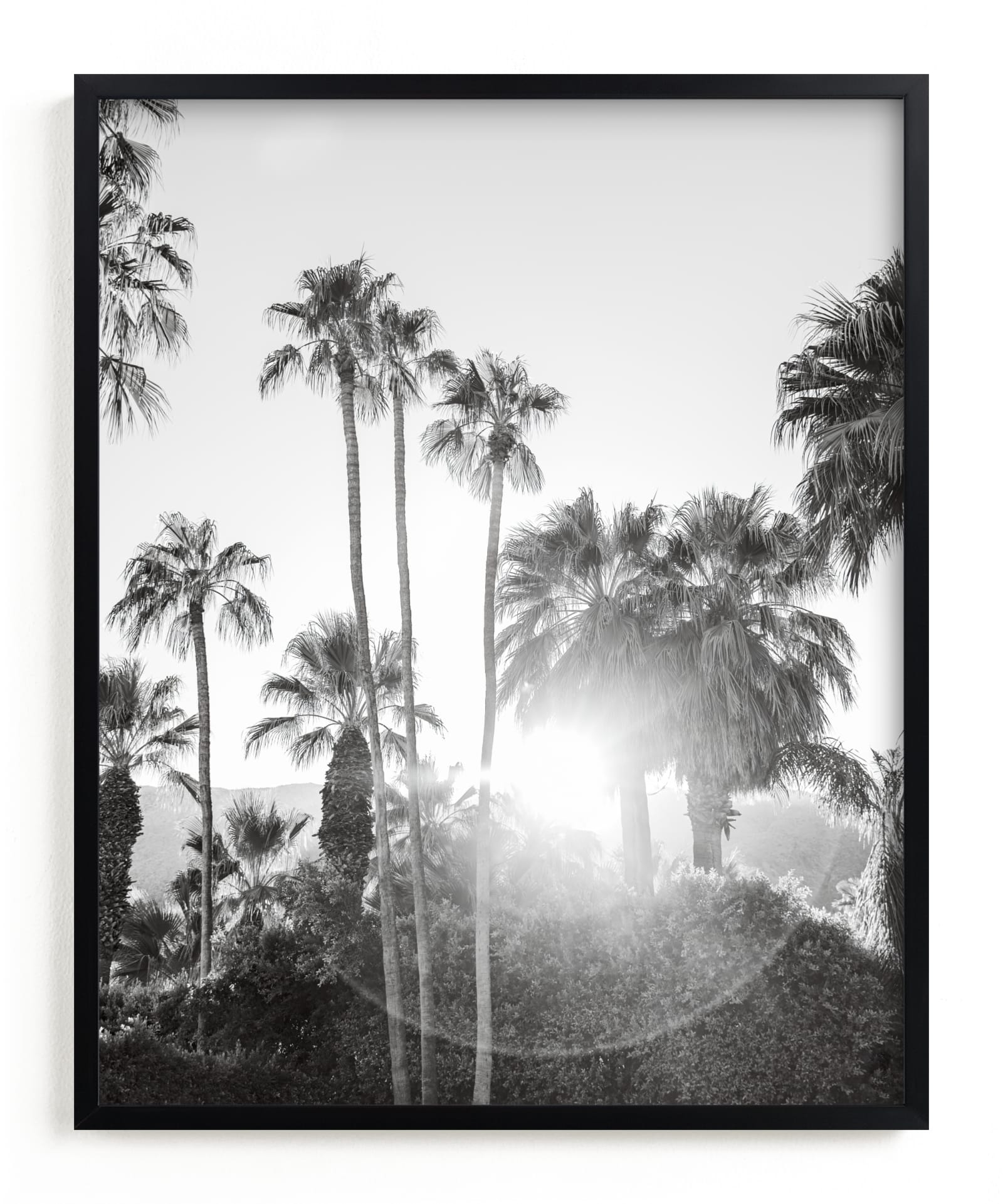 Sunflare Palms Limited Edition Fine Art Print 2 - Image 0
