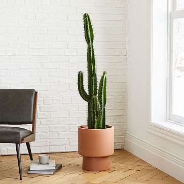 Faux Potted Cactus + Bishop Terracotta Planter Bundle - Image 0