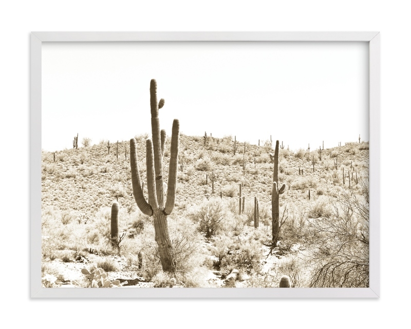 Dusty Cacti Limited Edition Fine Art Print - Image 0