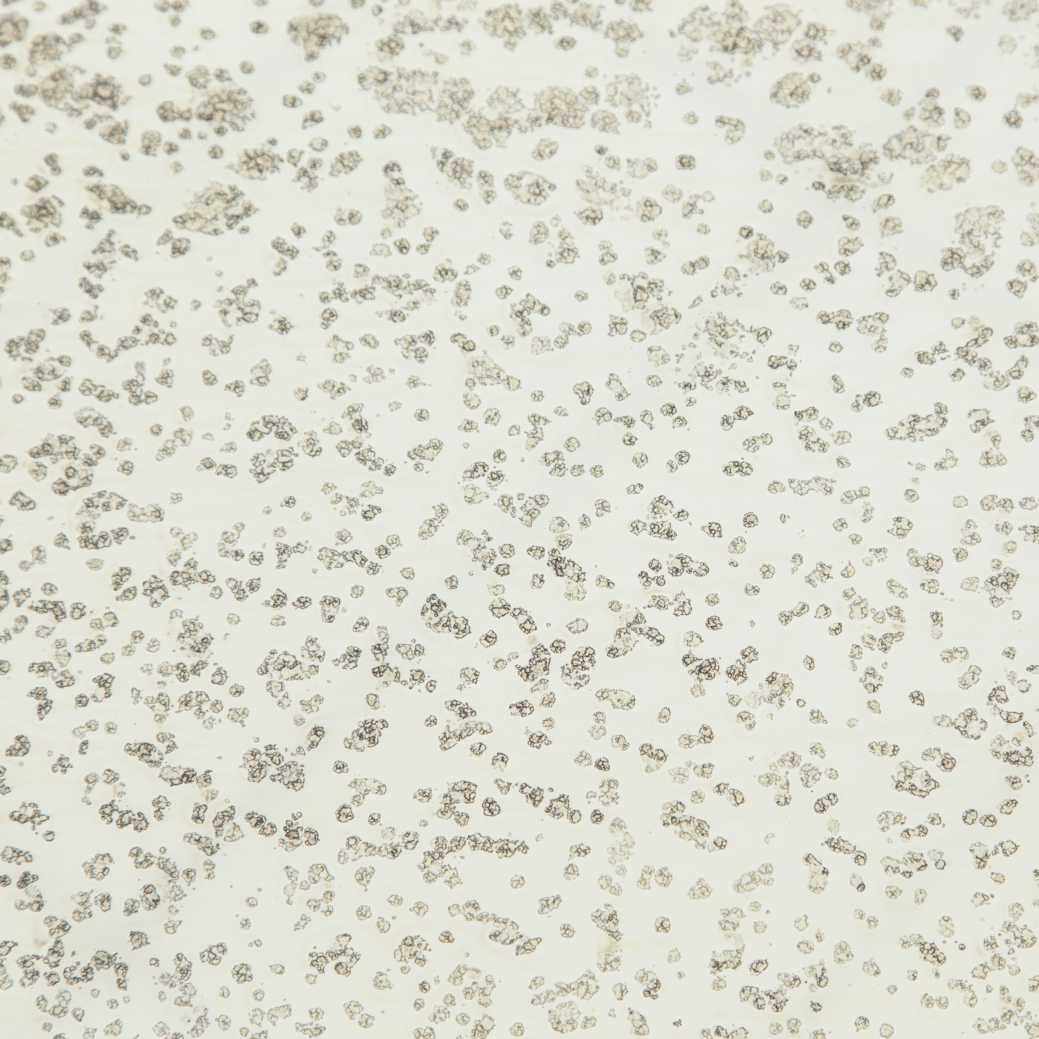 Marlow Mod Pedestal Table - Ash Glass - Image 3