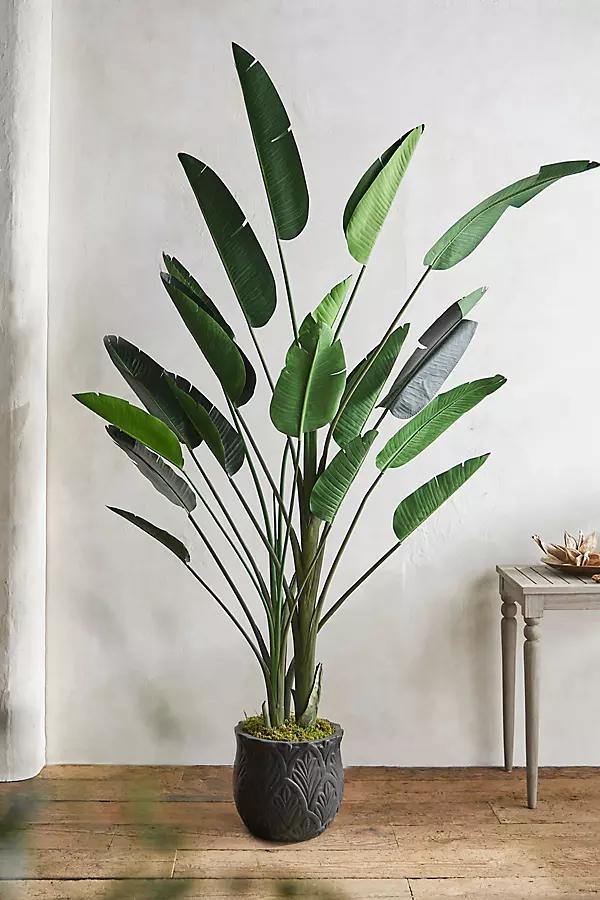 Faux Bird of Paradise, 7' - Image 0