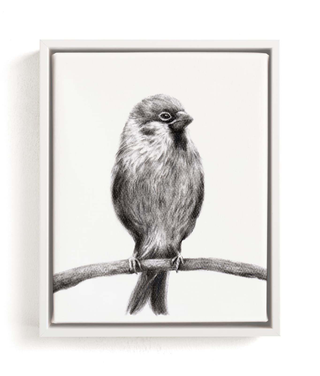Little Sparrow Limited Edition Fine Art Print 2 - Image 0