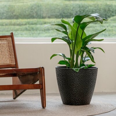 Bee Resin Pot Planter - Image 0