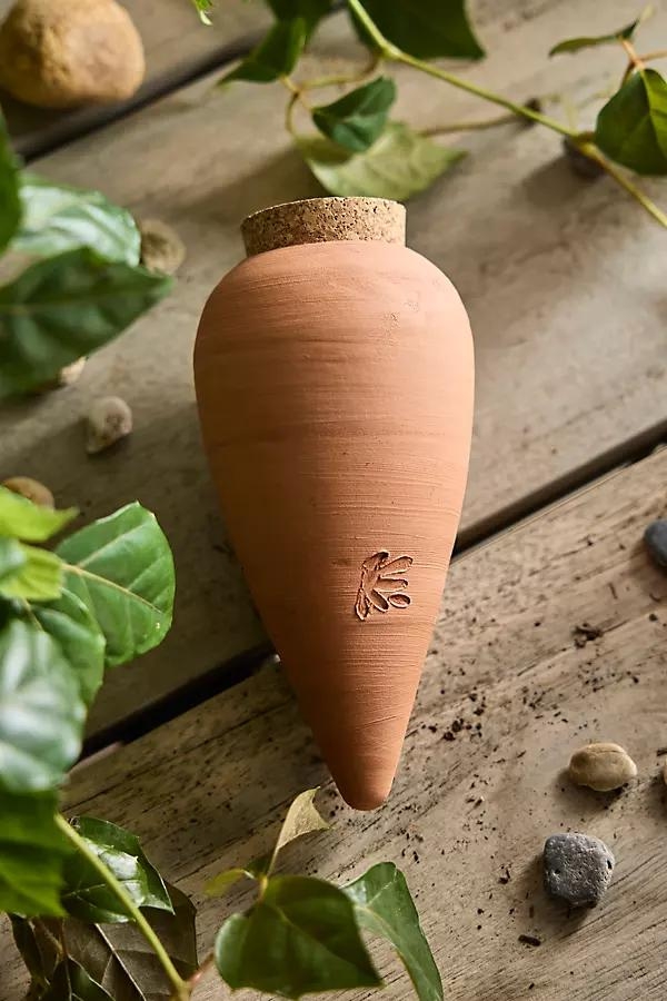 Terracotta Watering Olla - Image 0
