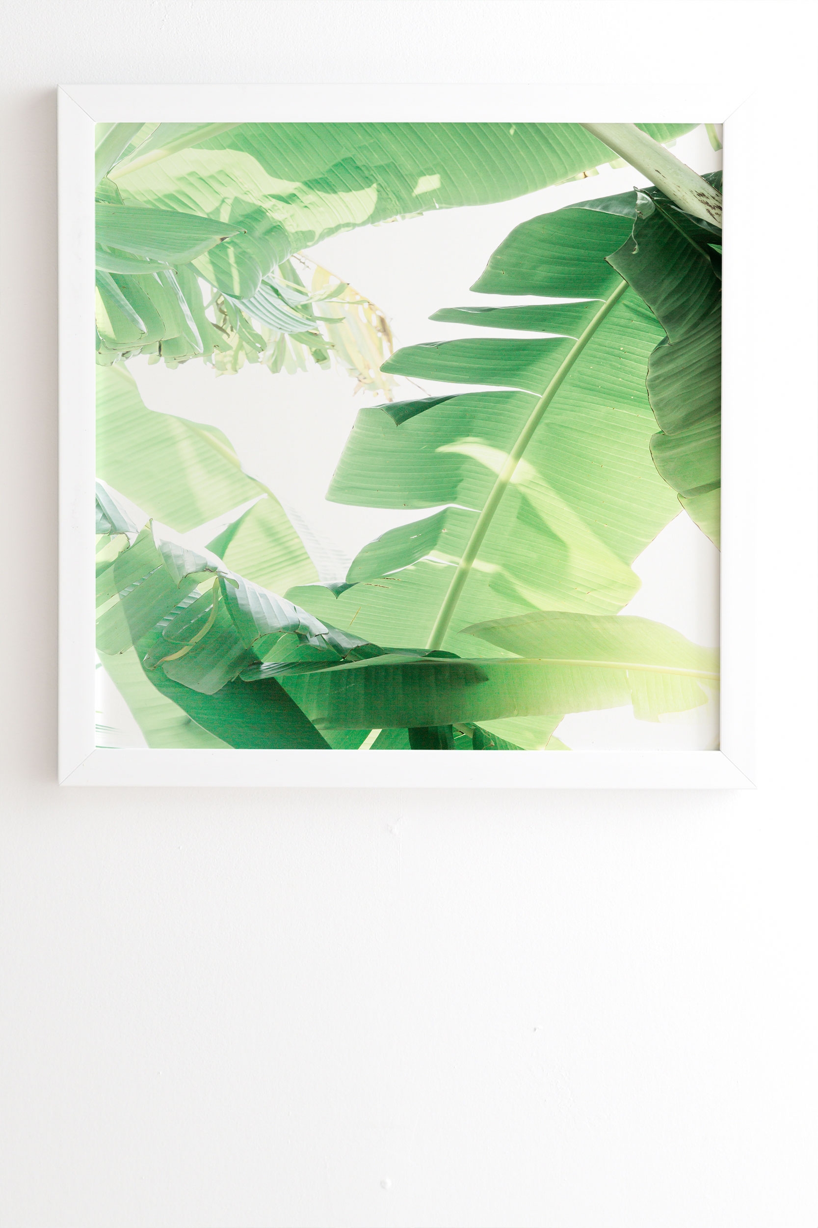 Jungle Abstract Ii by Ann Hudec - Framed Wall Art Basic White 30" x 30" - Image 1