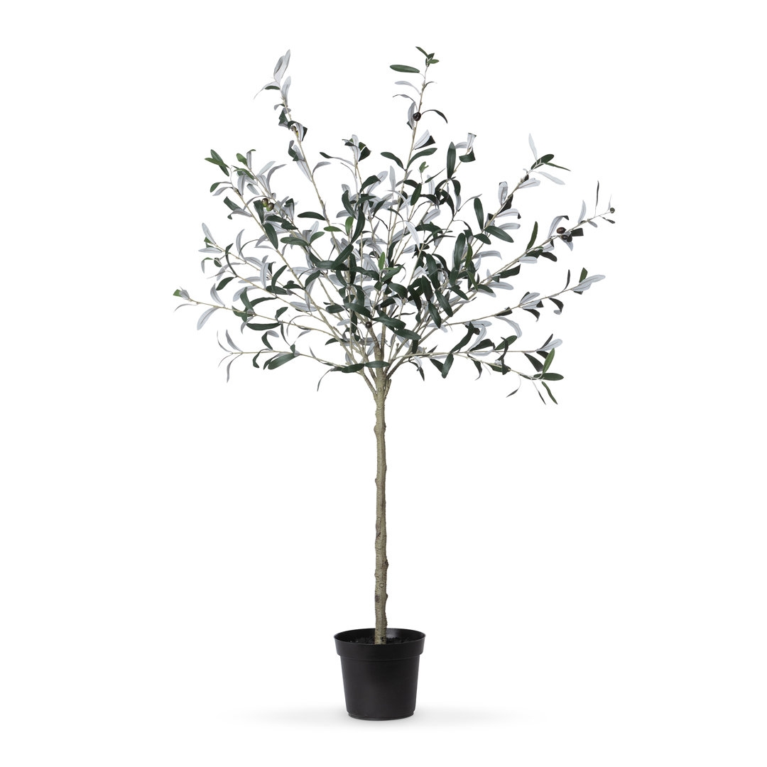 Park Hill Collection Artificial Olive Tree in Pot - Image 0