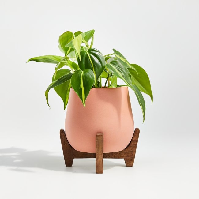 Evie Small Planter with Stand - Image 0