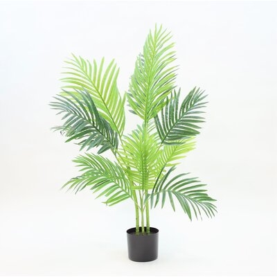Areca Palm - 72 Inches - Image 0