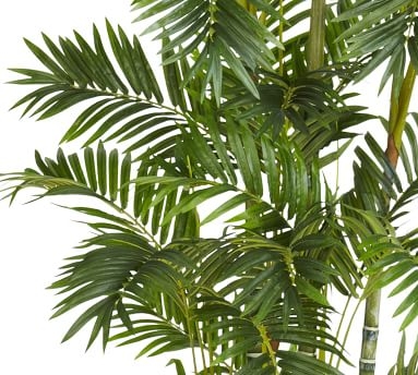 Faux Narrow Areca Palm Tree, 6' - Image 3