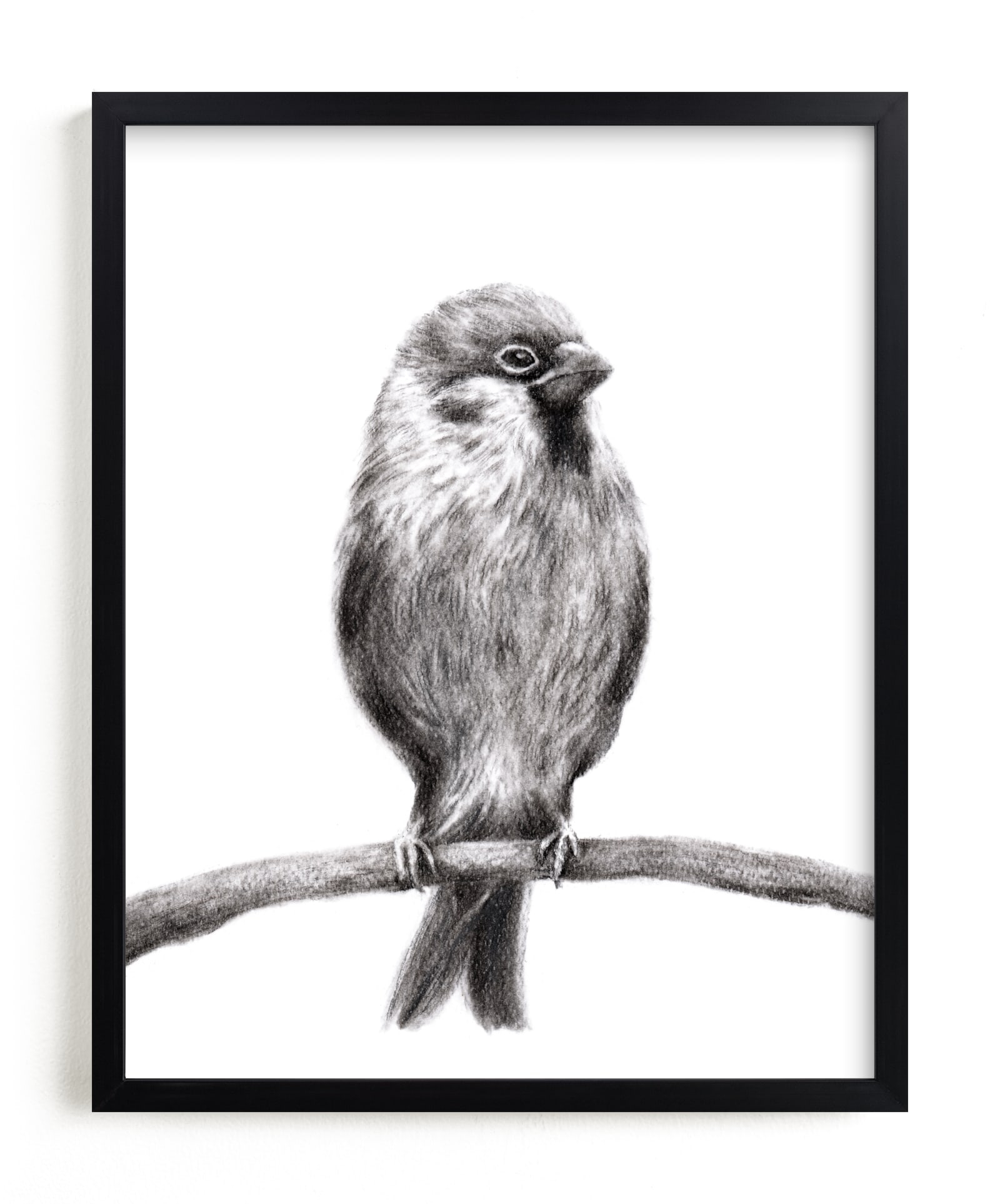 Little Sparrow Limited Edition Fine Art Print 2 - Image 0
