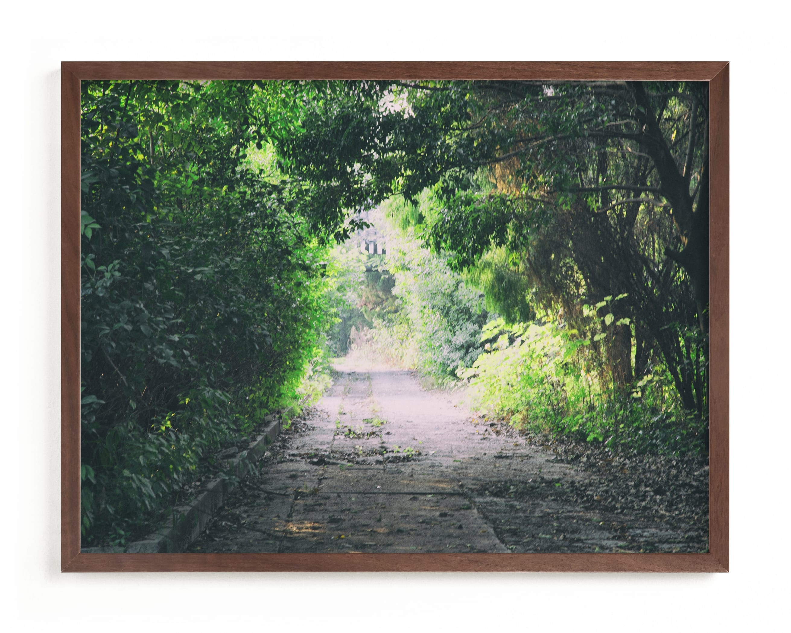 Pathway Limited Edition Fine Art Print 2 - Image 0