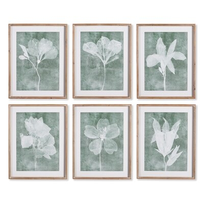 'Translucent Floral' - 6 Piece Picture Frame Painting Print Set on Paper - Image 0