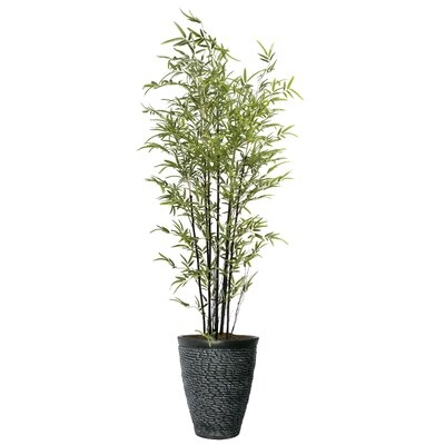 Vintage Home Artificial Faux Real Touch 7.67 Feet Tall Bamboo Tree With Fiberstone Planter - Image 0