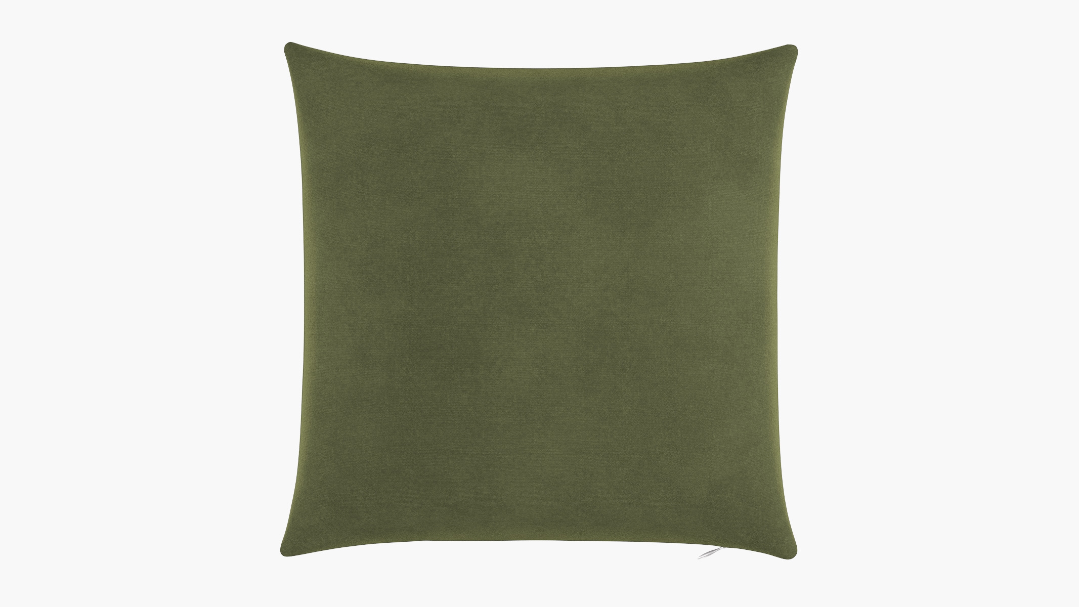 Throw Pillow 20", Zucchini Luxe Velvet, 20" x 20" - Image 0