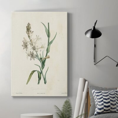 Traditional Botanical IV - Wrapped Canvas Graphic Art - Image 0