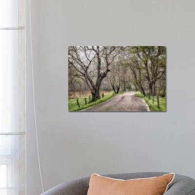 Late Afternoon Walk by Andy Amos - Photograph Print - Image 0