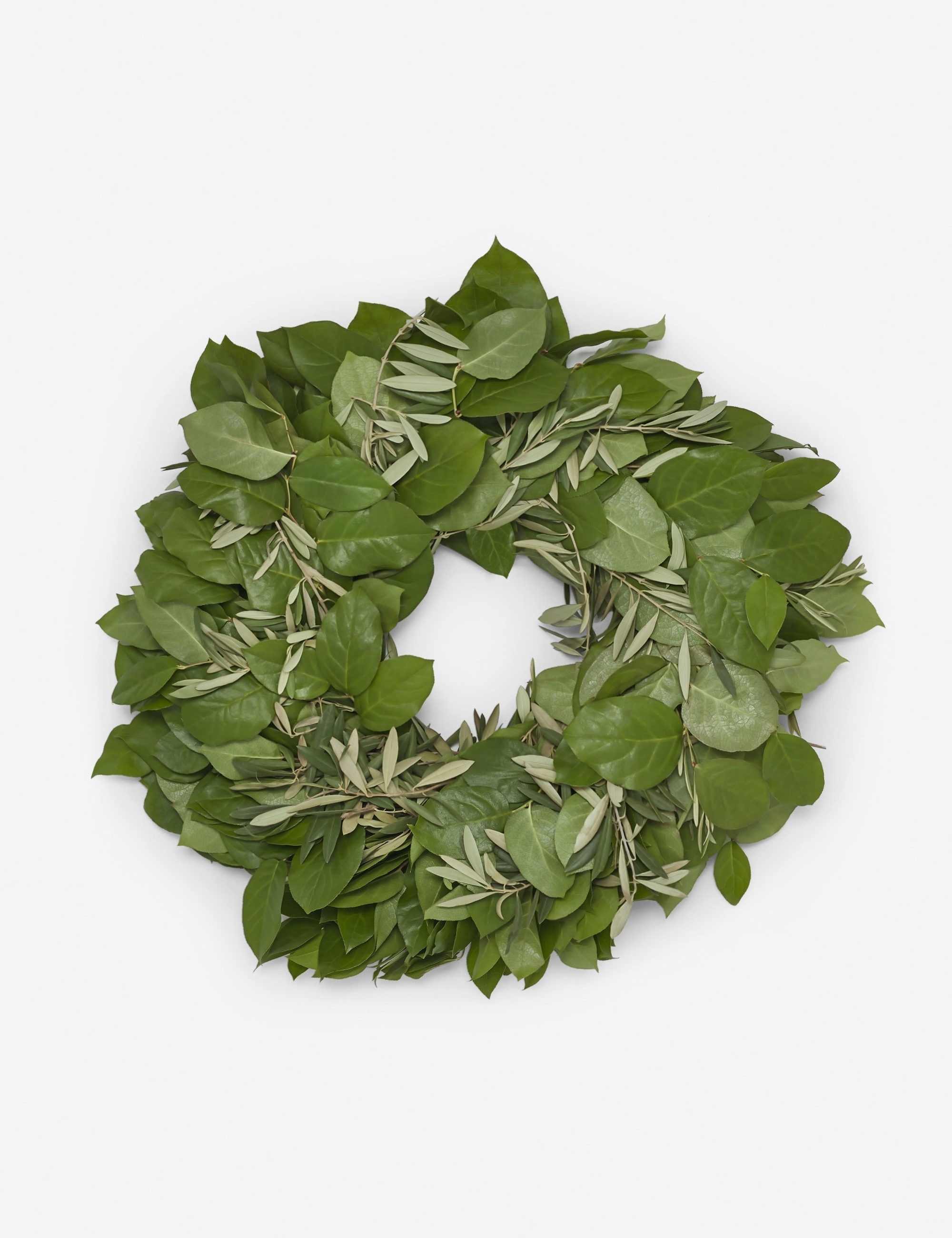 Olive Lemon Leaf Wreath 12"Dia - Image 0