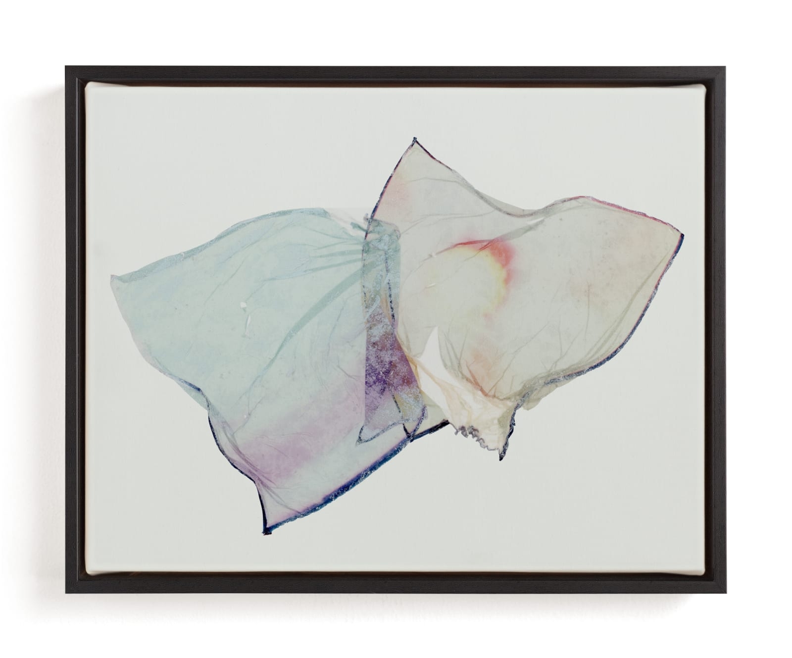 Snagged Limited Edition Fine Art Print 2 - Image 0