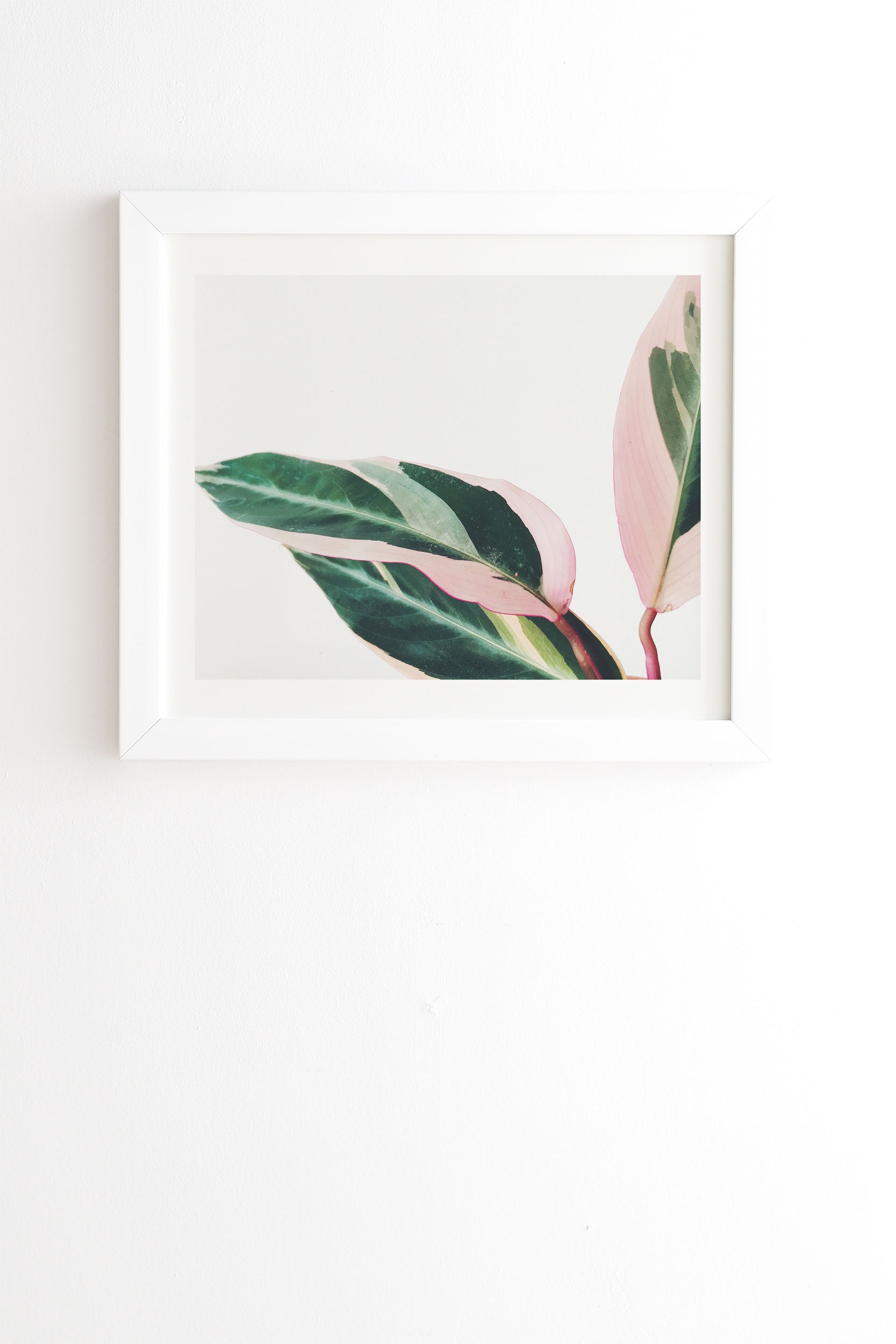 Pink Leaves Ii by Cassia Beck - Framed Wall Art Basic White 20" x 20" - Image 0