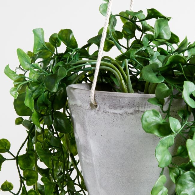 Faux Trailing Ficus Hanging Plant in Pot - Image 1