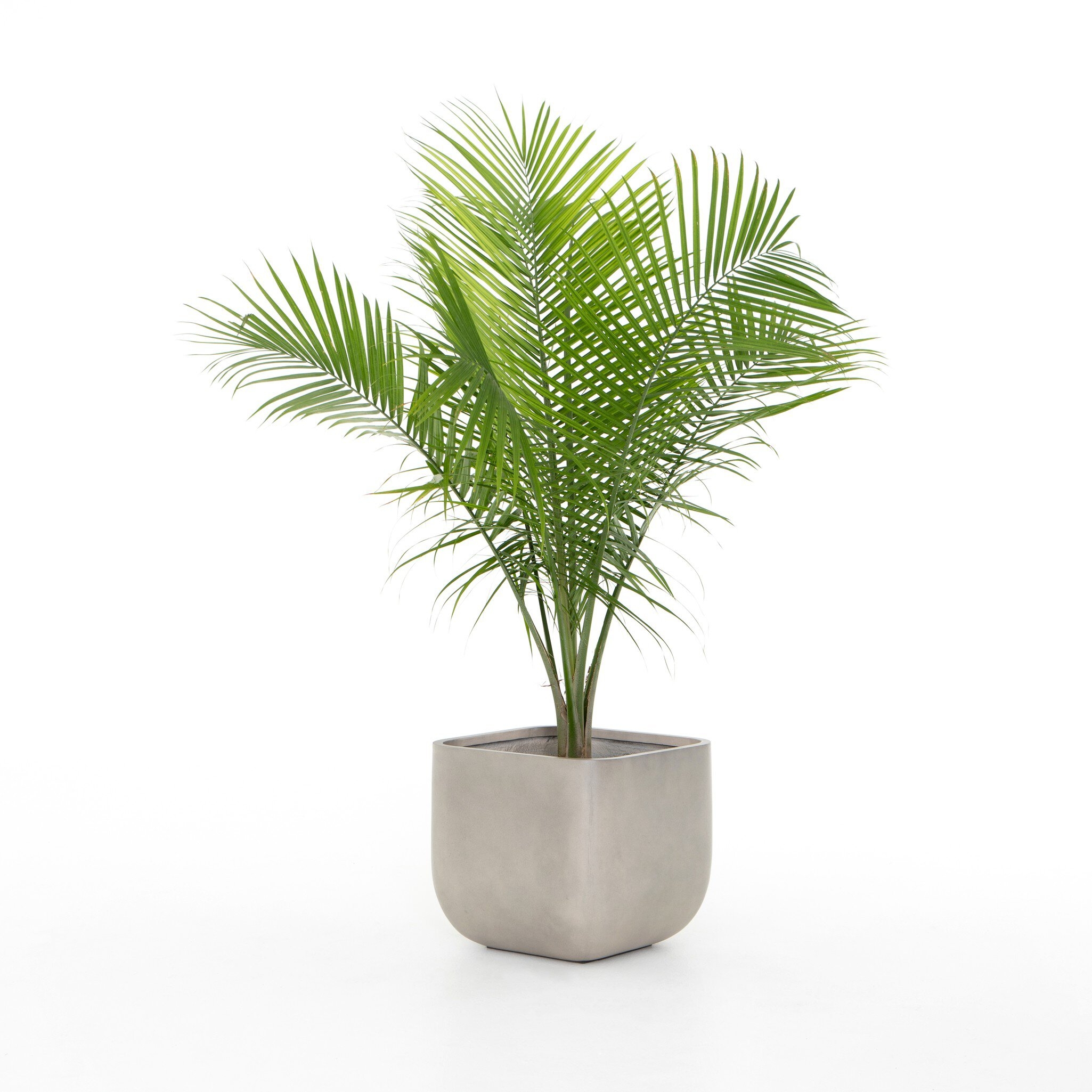 Ivan Square Planter - Grey Concrete - Image 8