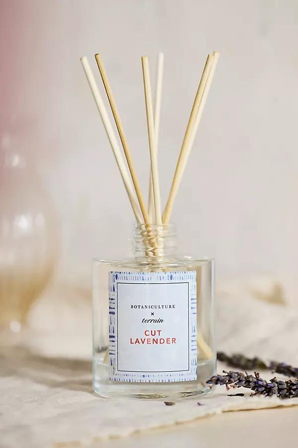 Reed Diffuser - Image 0