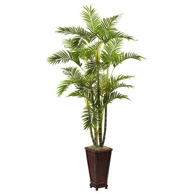 60.5'' Areca Flowering Plant in Planter - Image 0