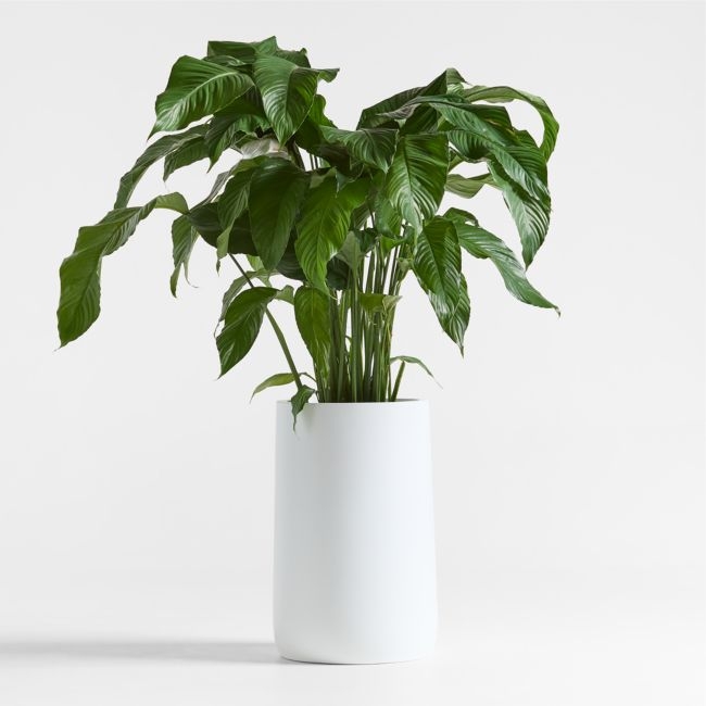 Saabira White 23.25" Tall Indoor/Outdoor Planter - Image 0
