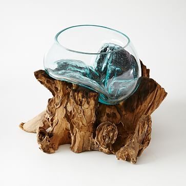 Wood + Glass Terrarium, Small, 7"W x 5.15"D x 5.9"H - Image 3