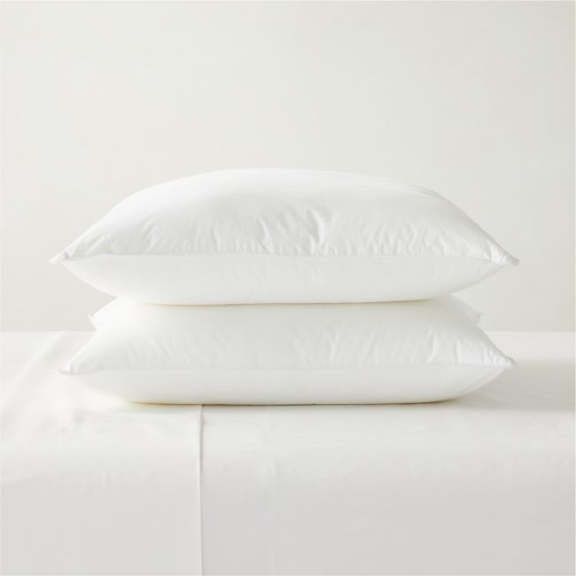 Hypoallergenic Down-Alternative Euro Pillow Inserts Set of 2 - Image 0