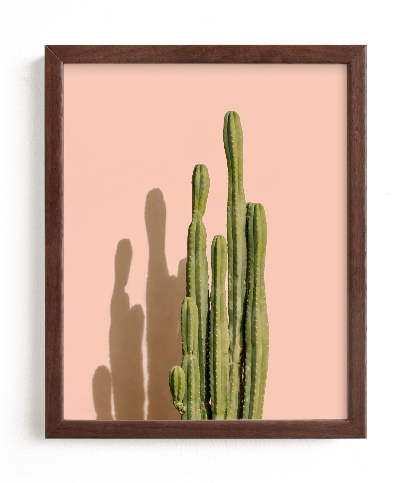 Palm Desert Cactus Open Edition Fine Art Print - Image 0