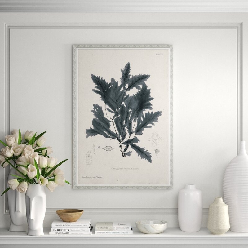Soicher Marin Finn and Ivy 'Seaweed in Gray 1' - Picture Frame Painting on Paper - Image 0