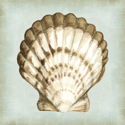 Sea Dream Shells III by Vision Studio Painting Print on Canvas - Image 0