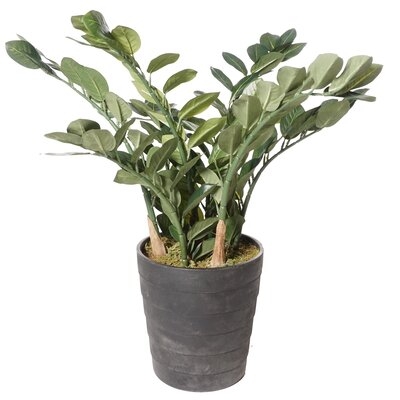 17" Artificial Zamioculcas Succulent in Pot - Image 0