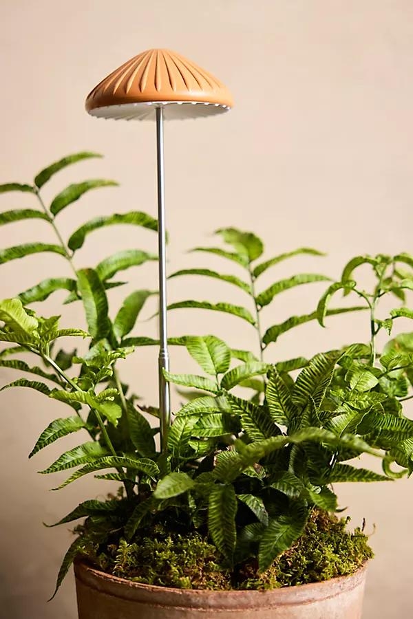 Mushroom LED Grow Light - Image 0