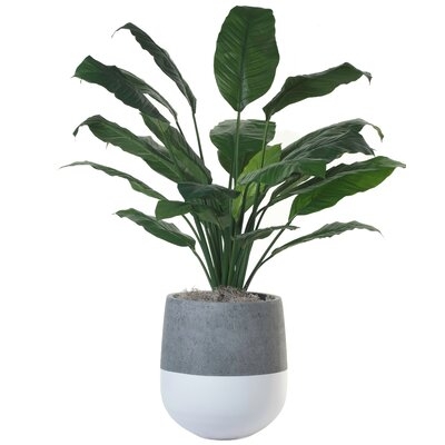 36" Artificial Plant in Planter - Image 0