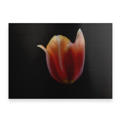 French Tulip by Lotte Gronkjar - Print on Canvas - Image 0