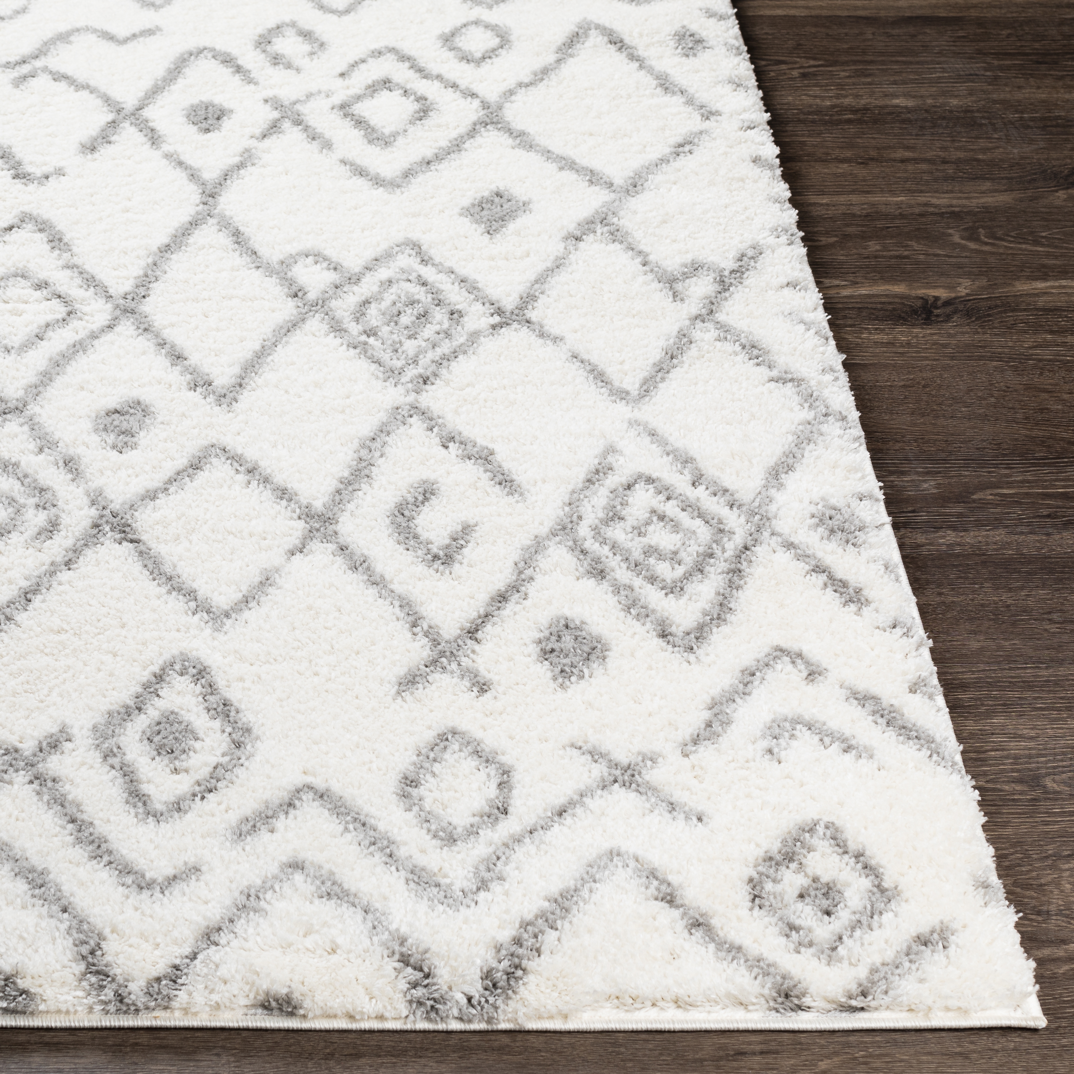 Aliyah Shag Beige Indoor 2' x 3' Machine Woven Rug - Image 1