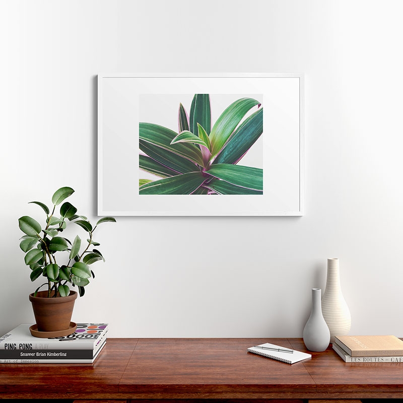 Oyster Plant by Cassia Beck - Framed Art Print Modern White 24" x 36" - Image 1