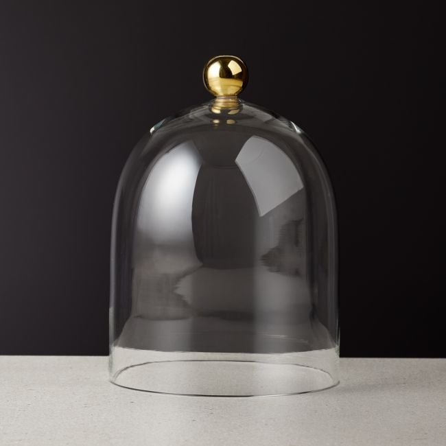 Glass Cloche with Unlacquered Brass Knob - Image 0