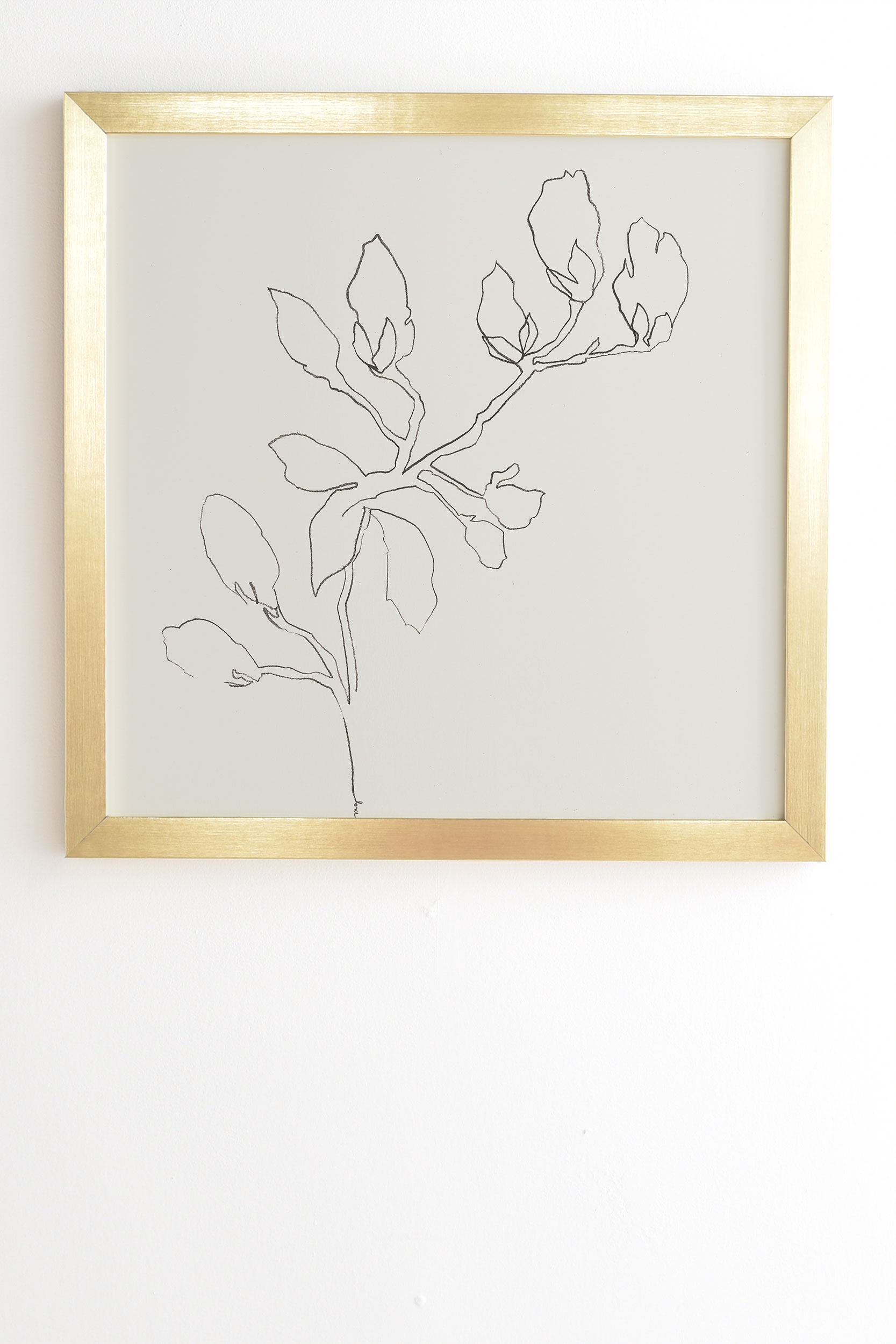 Floral Study No 3 by Megan Galante - Framed Wall Art Basic Gold 30" x 30" - Image 1